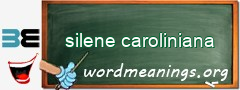 WordMeaning blackboard for silene caroliniana